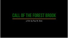 Call of the Forest Brook