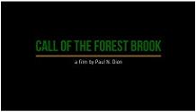 Call of the Forest Brook