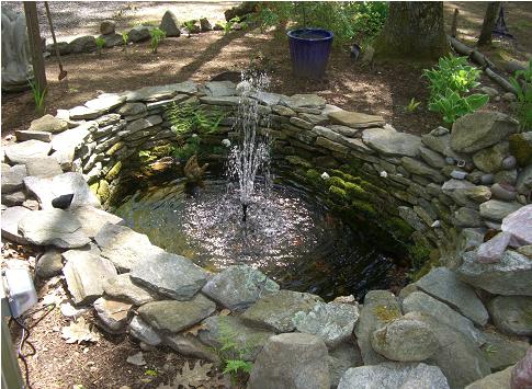 pond