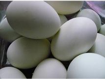 eggs eggs eggs