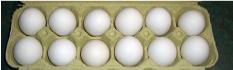 eggs eggs eggs